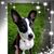 Shari Lynn Kristof's profile image