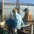 Wayne Tinkler's profile image