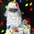 Shannon Elizabeth Sokolski's profile image