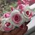 Renee Munger Holtzer's profile image