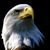 Tonya Amos's profile image