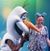 Jenifer Reichardt's profile image
