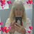 Evelyn Cool's profile image