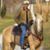 Mark Gough's profile image