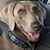 Maizie Weim's profile image