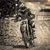 Jay Royer's profile image