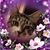 Maria Porambo's profile image