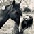 Jessica Cagle's profile image