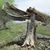 Verde Ranch's profile image