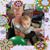 Linda Strang's profile image