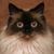 Christina Reimels's profile image