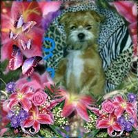 Alonso Lopez's profile image