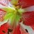 Michelle Finan's profile image