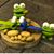 Sharon Chan's profile image