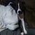 Kathy Marconi's profile image