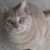 Jeanne D Longley's profile image