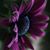 Lisa Baker's profile image