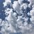 Jeanne Coffee-Senkovich's profile image