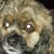 Dinah Hall's profile image