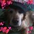 David Goodsell's profile image