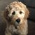 Christine Shawver Gregory's profile image