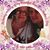 Elizabeth Warner's profile image