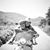 Shirley-Domingos Rodrigues's profile image