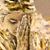 Sharon L Bousquet's profile image