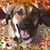 Colleen Wright's profile image