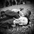 Jami Strickler's profile image