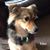 Fayetta Jean Winebrenner's profile image