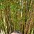 Gabriel Ortiz Cardenas's profile image