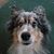 Jennifer Hayes Jubenville's profile image