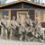 Wayne A. Besaw's profile image
