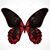 Teresa Lucero's profile image