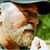 Will McCoy's profile image