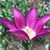 Ann Fair-Irby's profile image