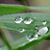 Delgenio Aladino's profile image
