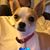 Ben Jay Pearlman's profile image