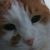 Elizabeth McCurdy's profile image