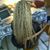 Stephanie Harris-Kuiper's profile image