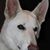 Darlene Baker's profile image
