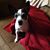 Sherrie Reynolds Fauvelle's profile image