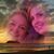 Donna Fowler Weiber's profile image