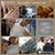 Alisha Marie Novinski-McCoy's profile image