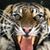 Raymond Ames's profile image
