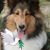 Carole Tupper's profile image