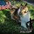 Ginny Mansfield's profile image