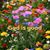 Patricia Armstrong's profile image