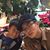 Trang Luong's profile image